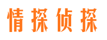 和县市婚外情调查